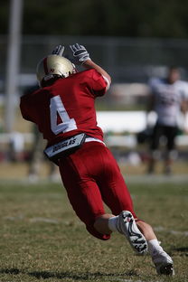 开云体育下载-中超球队传球链路密集度评分系统  第1张