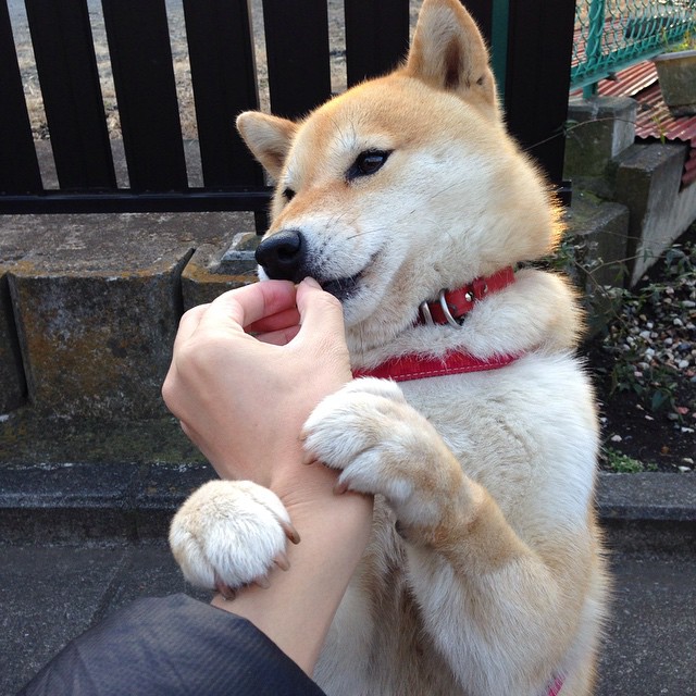 开云体育官网登入-中超球队净胜球变化趋势分析，中超全进球