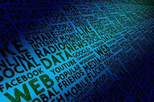 开云体育下载-体育社会组织自律机制与评估标准构建，体育社会组织的作用  第3张