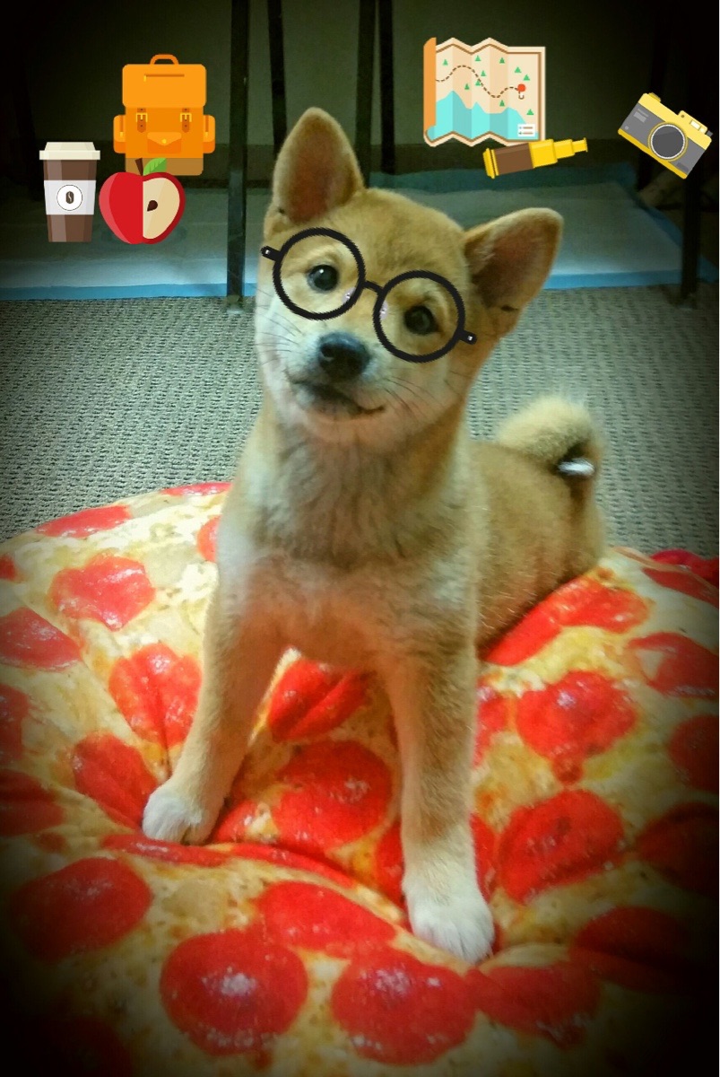 开云体育app注册-国足重大比赛心理素质研究,足球运动员心理素质培养 第4张 开云体育app注册-国足重大比赛心理素质研究,足球运动员心理素质培养 第4张