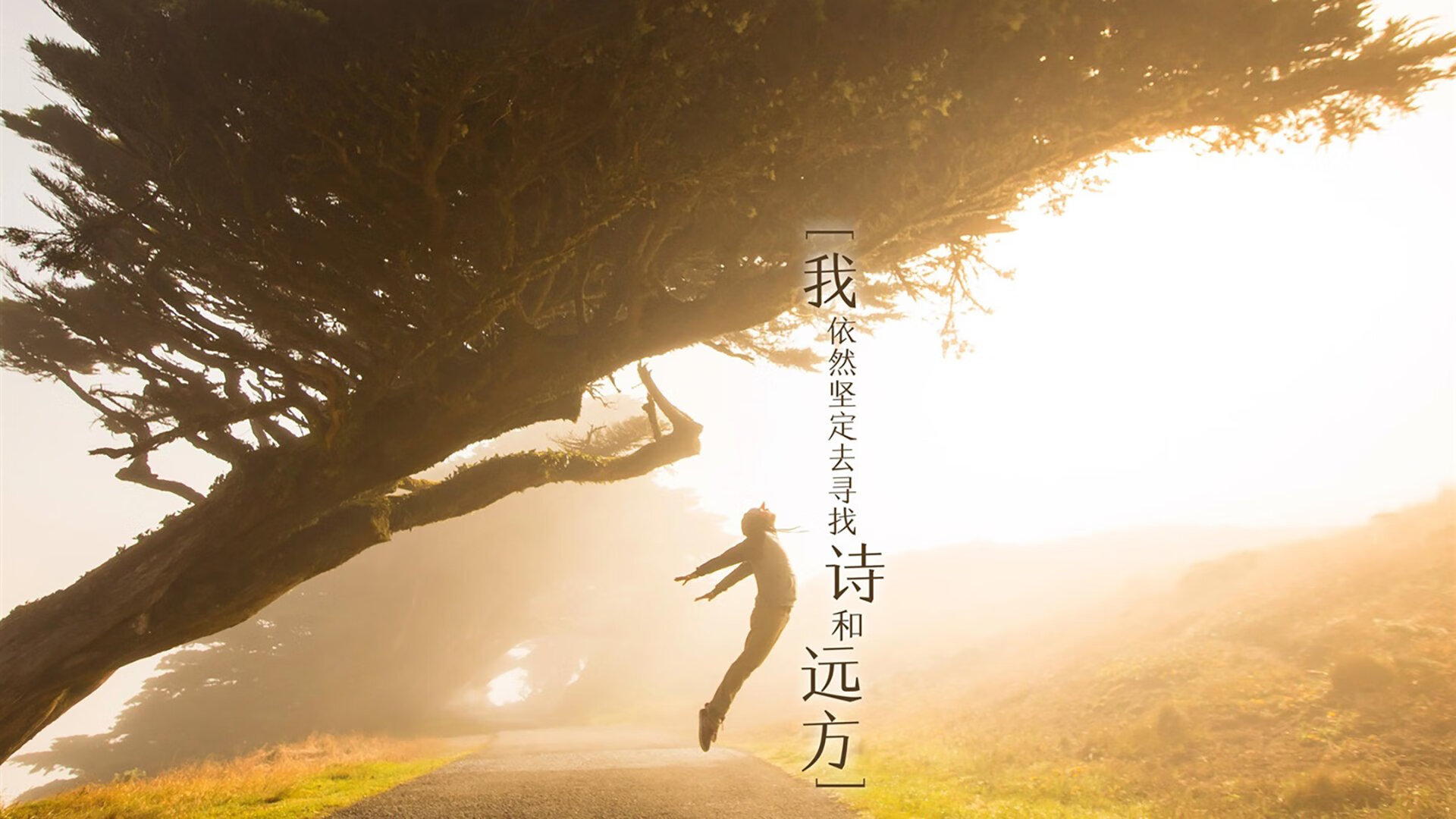 开云体育登录入口-校园体育文化对学生心理健康促进，校园体育文化建设对于塑造大学生的健康体质和完整人格  第6张