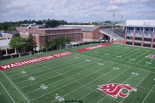 开云体育app注册-法甲联赛可持续环保运动场地建设实践  第2张