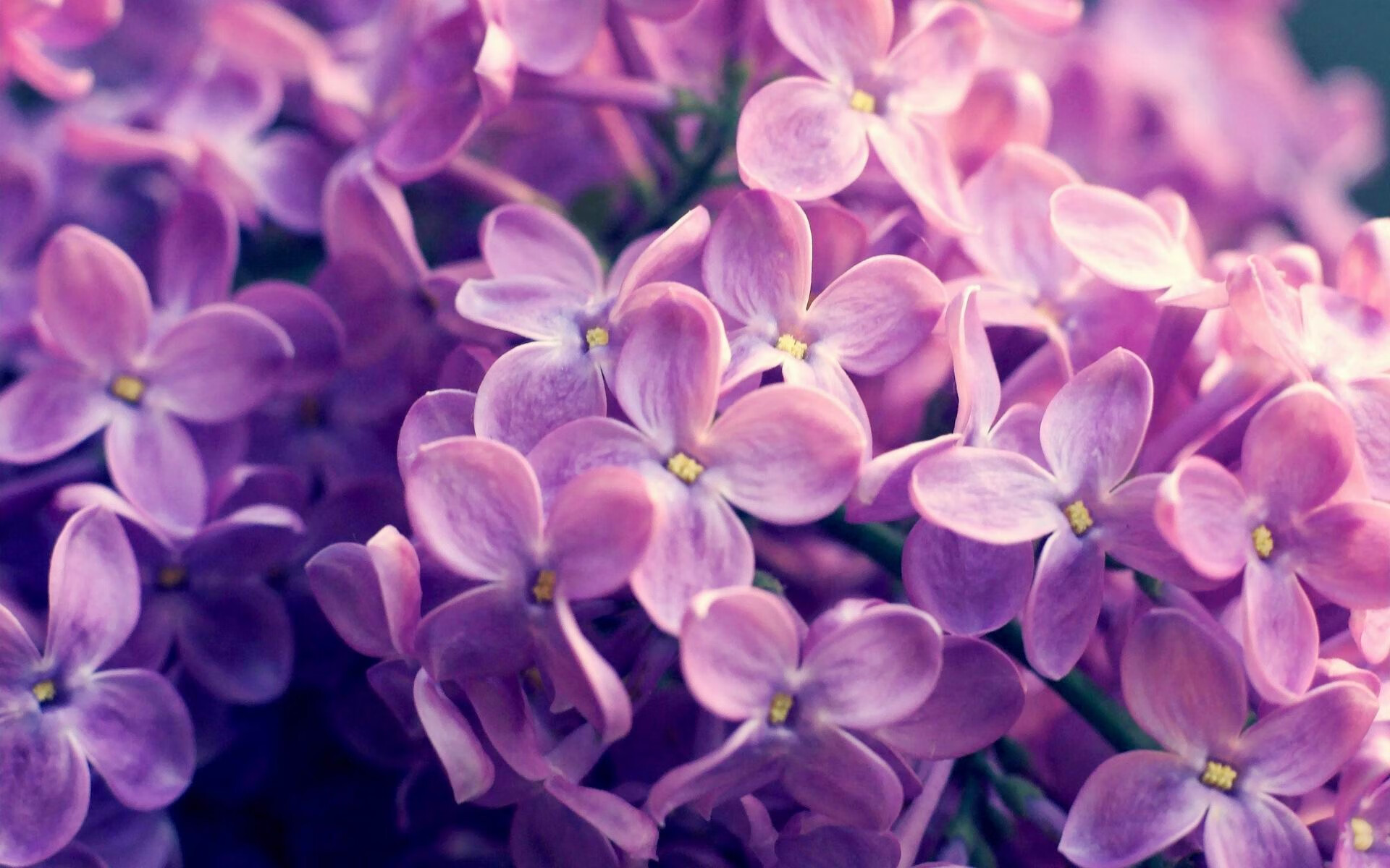 开云体育官网登入-篮球运动员专项体能训练体系设计，篮球运动员专项体能训练体系设计方案  第4张