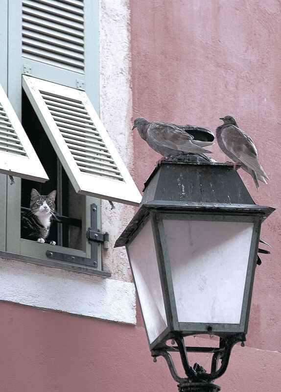 kaiyun开云体育-英超球队通过视频语言分析提升集体战术会议效率，英超官方解说