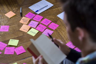 开云在线入口-高校运动训练计划科学制定与实施效果，制定运动训练计划需要考虑哪些要素