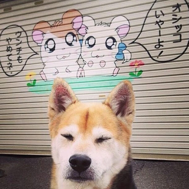 开云官方网-Chinese Taipei:科技助力下的未来体育发展趋势,未来体育是台湾的吗 第3张 开云官方网-Chinese Taipei:科技助力下的未来体育发展趋势,未来体育是台湾的吗 第3张