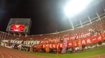 开云体育娱乐-“运动舞蹈：金牛区城北体育馆让你看到的不仅仅是舞蹈，更是灵魂与身体的交响”