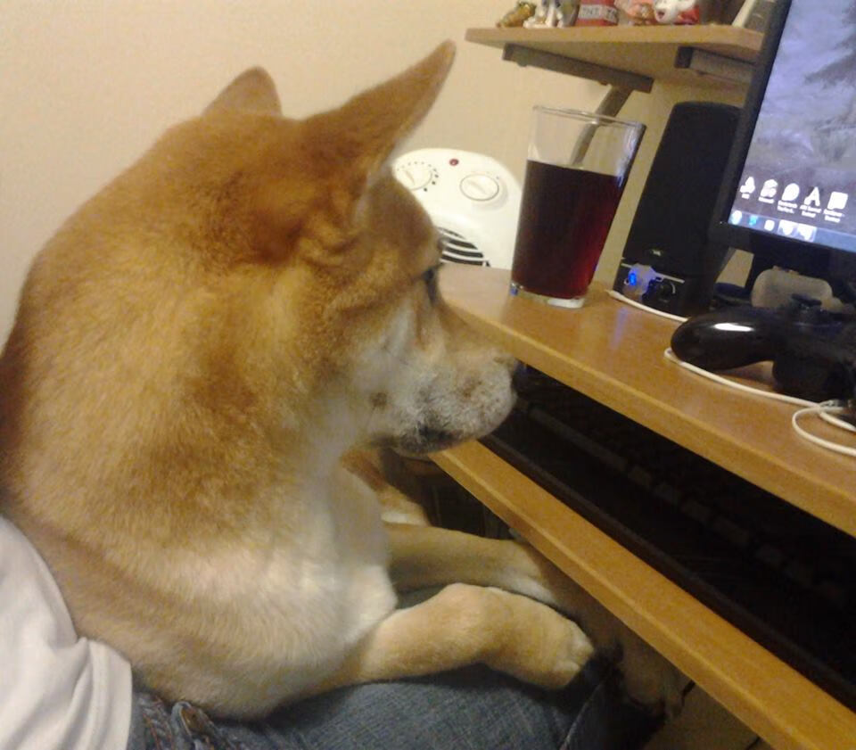 开云在线入口-体育纪录片走进校园激发学生兴趣，体育科学纪录片