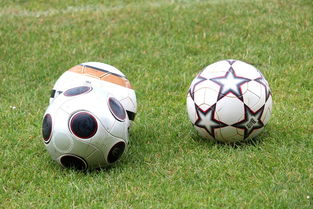 开云体育娱乐-基层足球俱乐部资金短缺，基层足球俱乐部资金短缺的原因  第1张