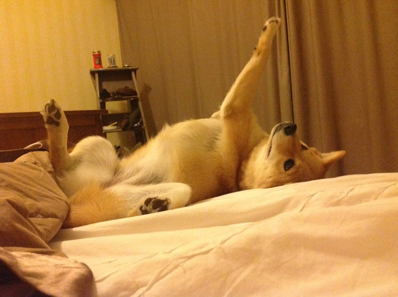 开云体育官网app-NBA名宿访华推动青少年篮球发展，青少年nba篮球训练营