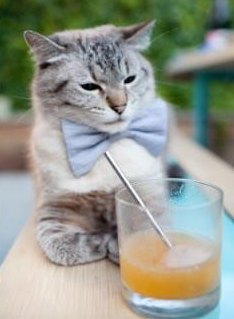 开云体育在线下载-“胡利安·门德斯的球场领导力，塑造阿根廷美洲狮队的未来蓝图”