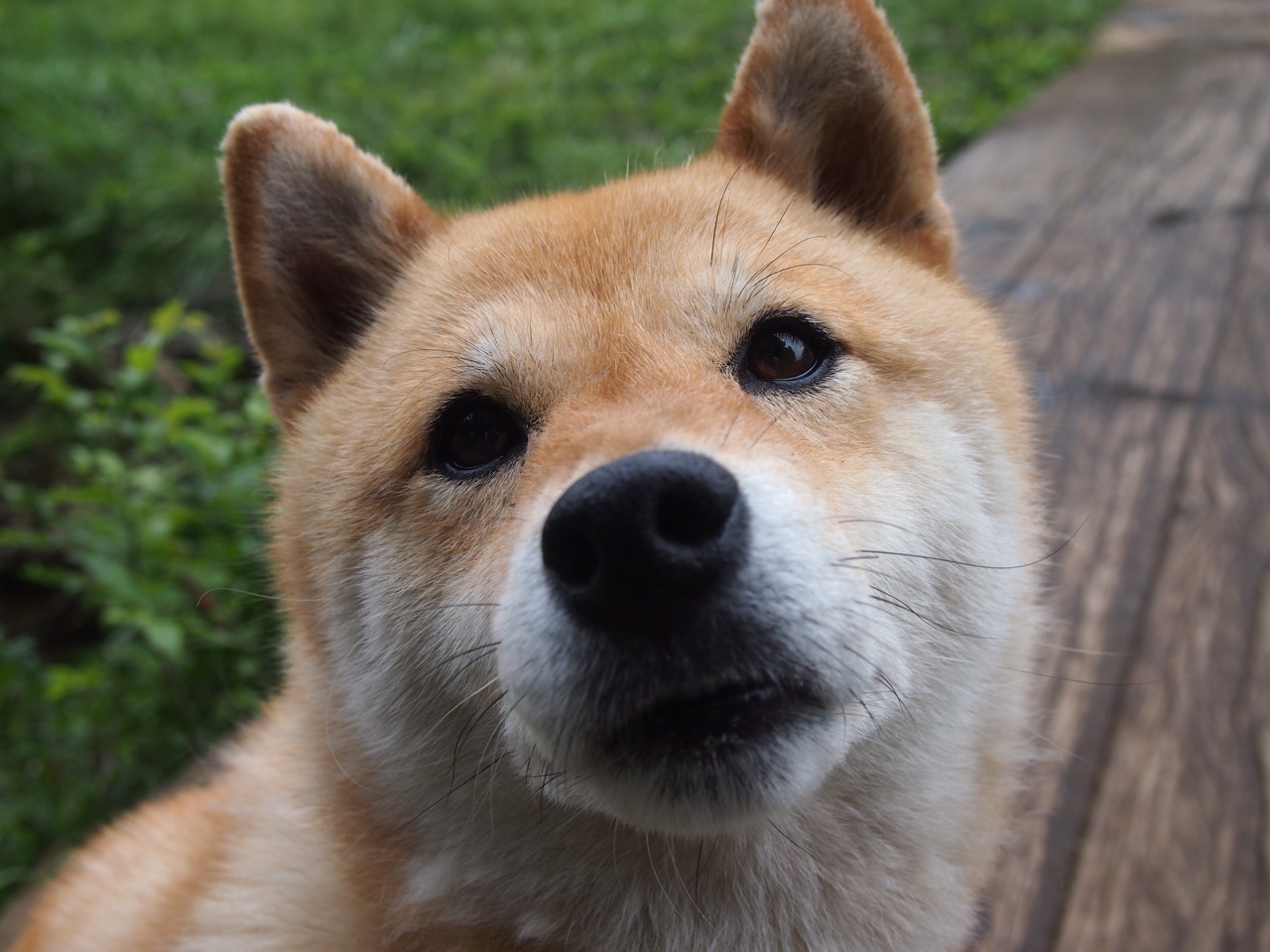 开云体育平台-丁俊晖签约品牌合作推广台球文化，丁俊晖台球室叫什么