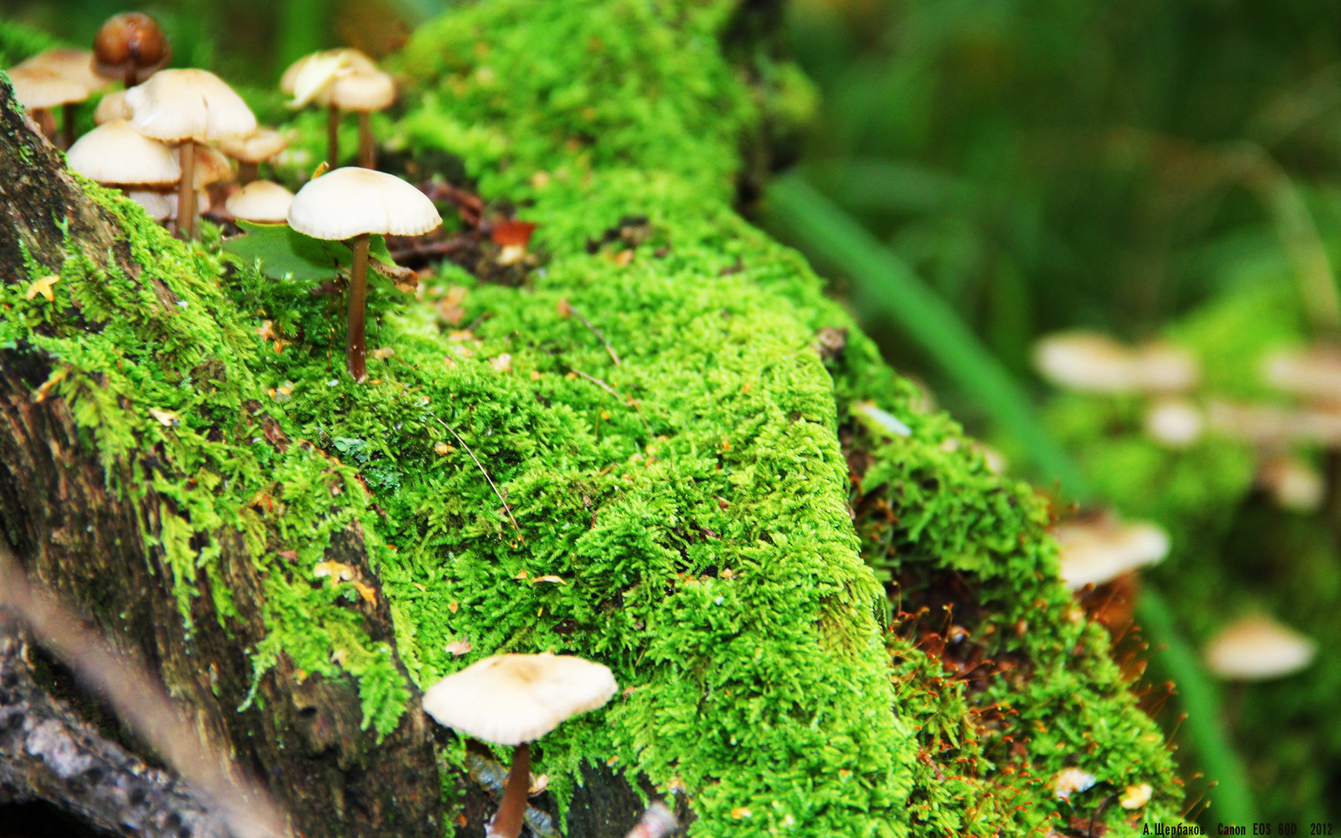 开云体育平台-丁俊晖签约品牌合作推广台球文化，丁俊晖台球室叫什么