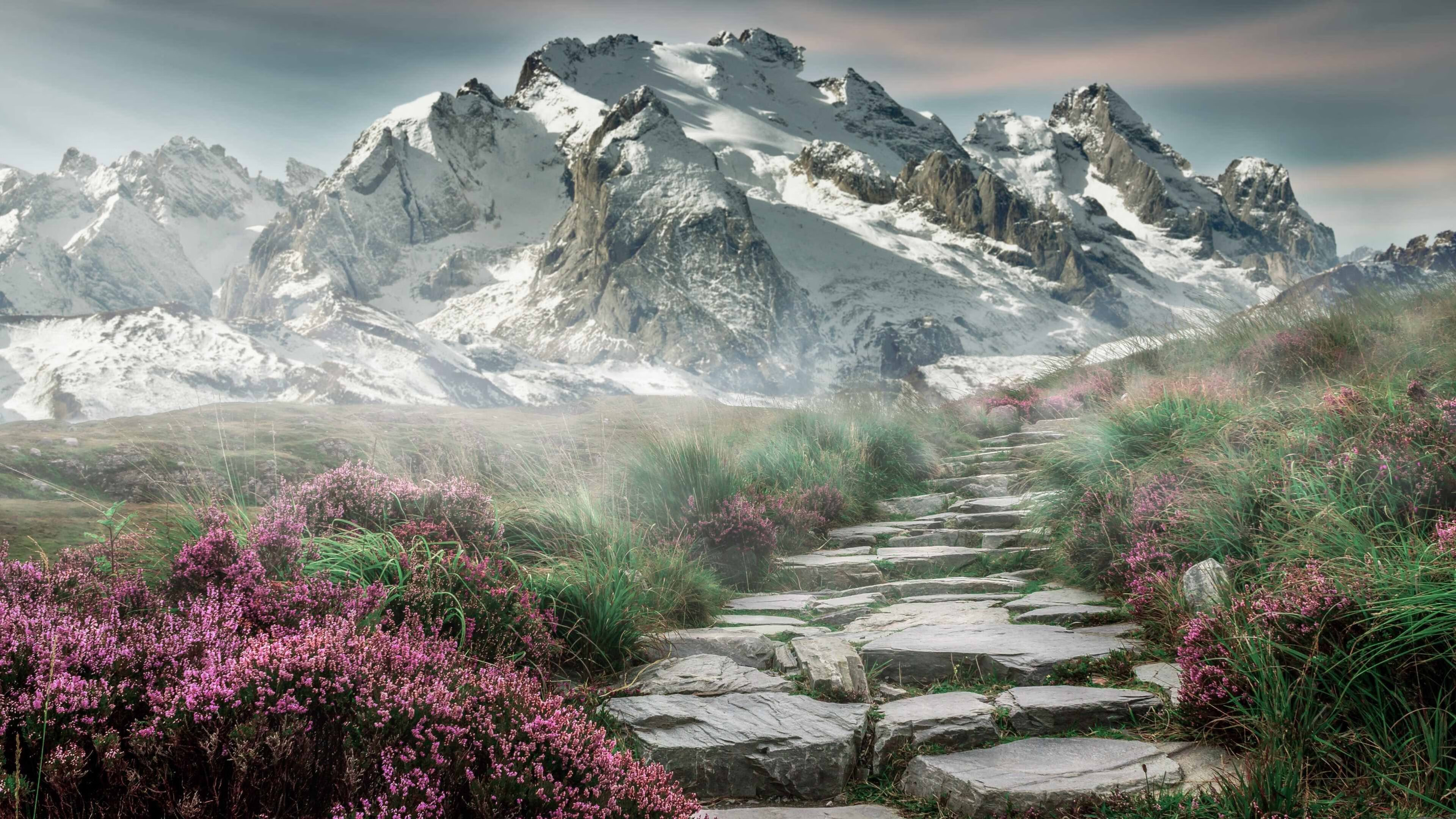 开云体育网站-布克三分准星回暖太阳主场豪取五连胜，布克三分球大赛记录