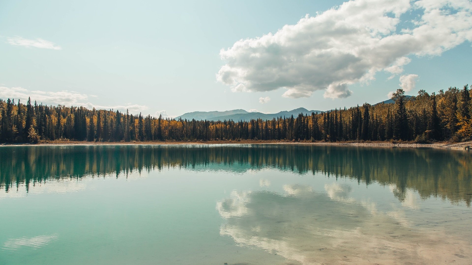 开云ky官网-库里开设公益训练营扶持低收入学生，库里做慈善有哪些