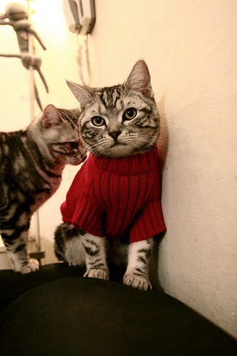 开云体育在线-法甲宿敌激战：攻守之间的精彩博弈，法甲宿敌激战_攻守之间的精彩博弈是什么