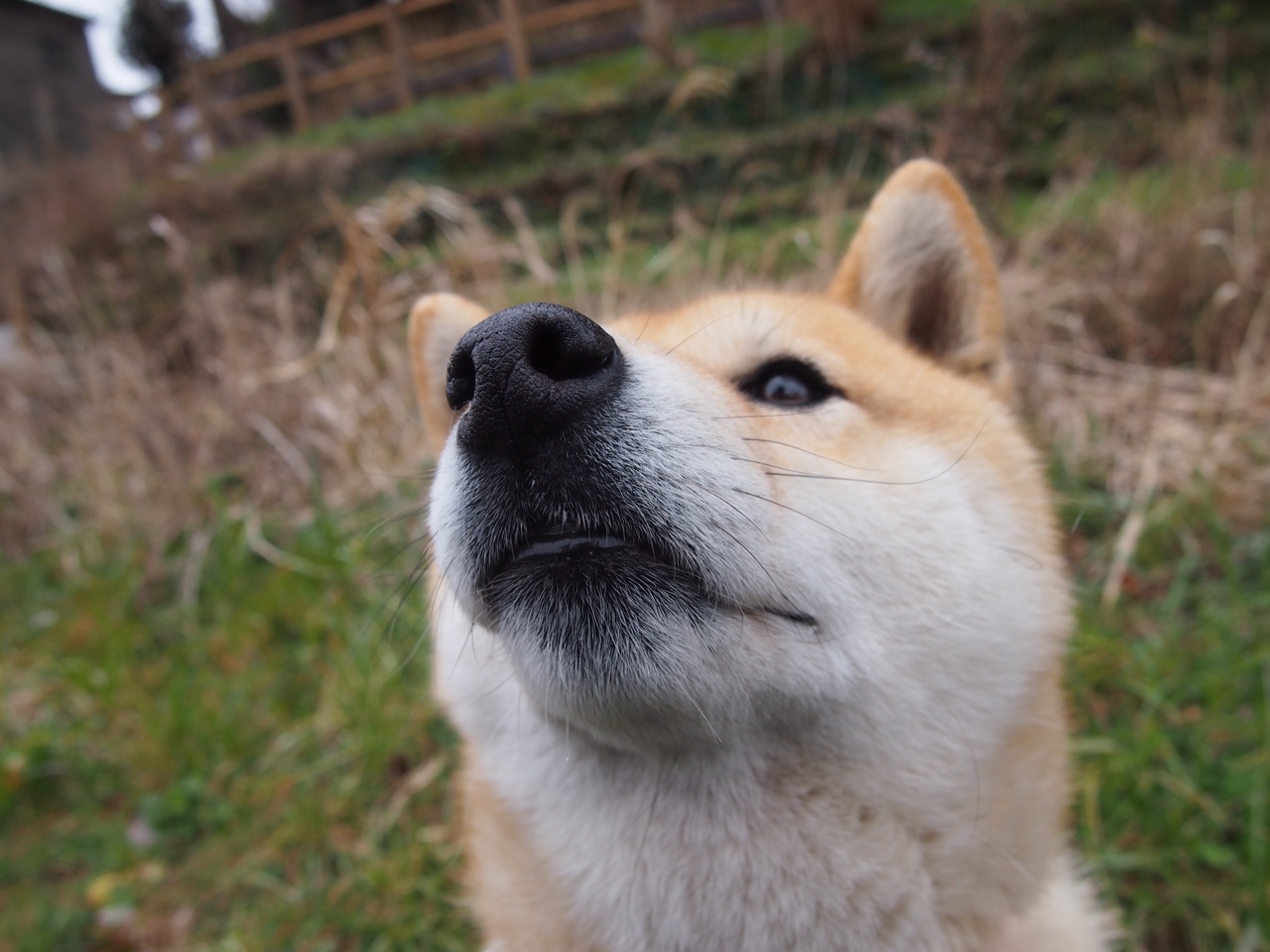 开云体育入口-英超冲刺季：悬念不断，精彩不断！，英超集锦2021