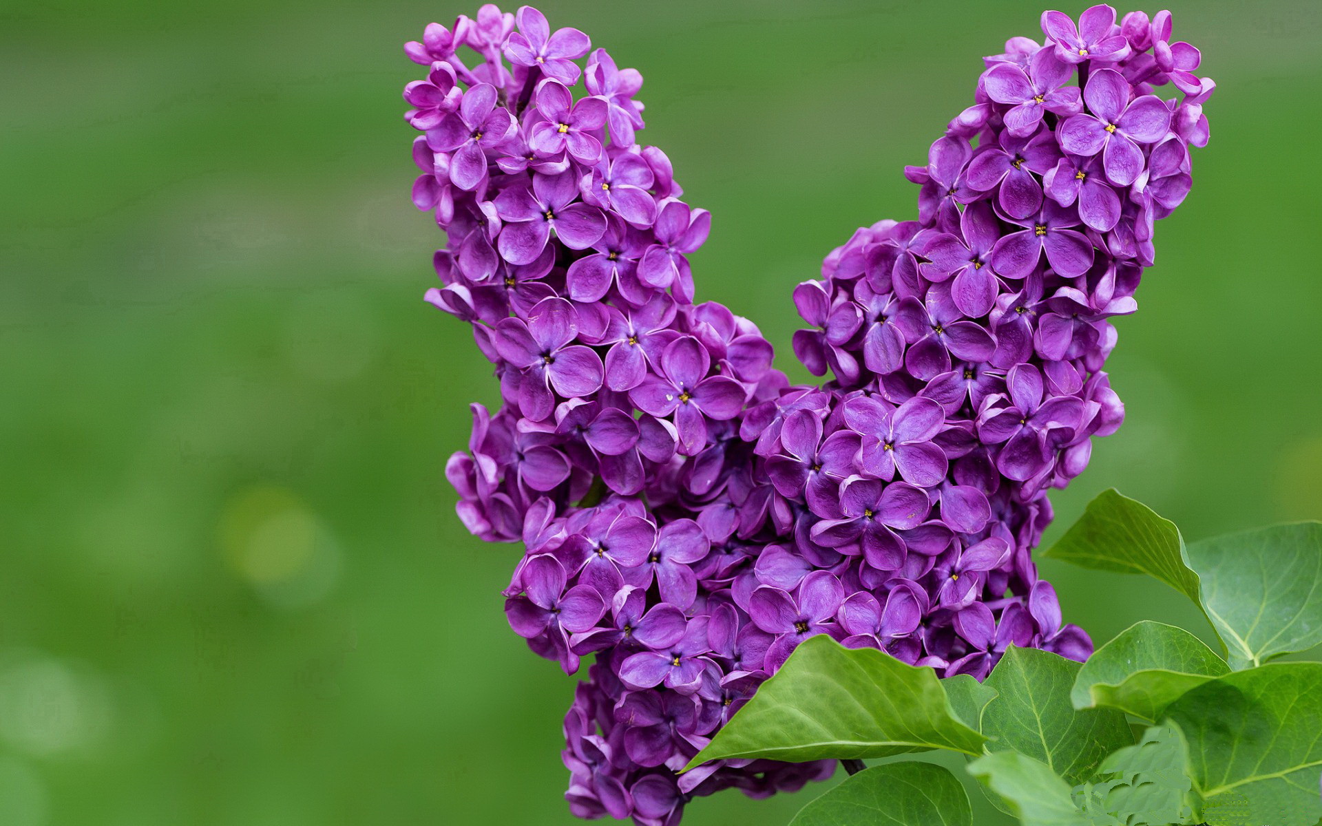 kaiyun网址-青少年篮球训练营引进智能监控设备提升训练数据精准度，青少年篮球训练器材有哪些