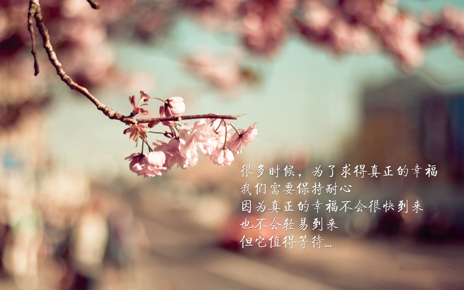 开云体育在线入口-中国篮球如何通过线上平台扩大基层球员展示机会,线上篮球培训