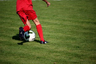 开云体育-中国足球人才评价体系是否合理，中国足球人才评价体系是否合理的