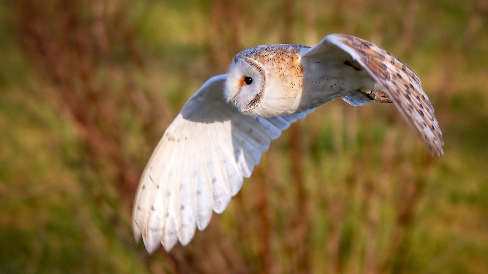 开云体育平台-中超联赛比赛公平竞争保障措施，中超联赛的参与机制