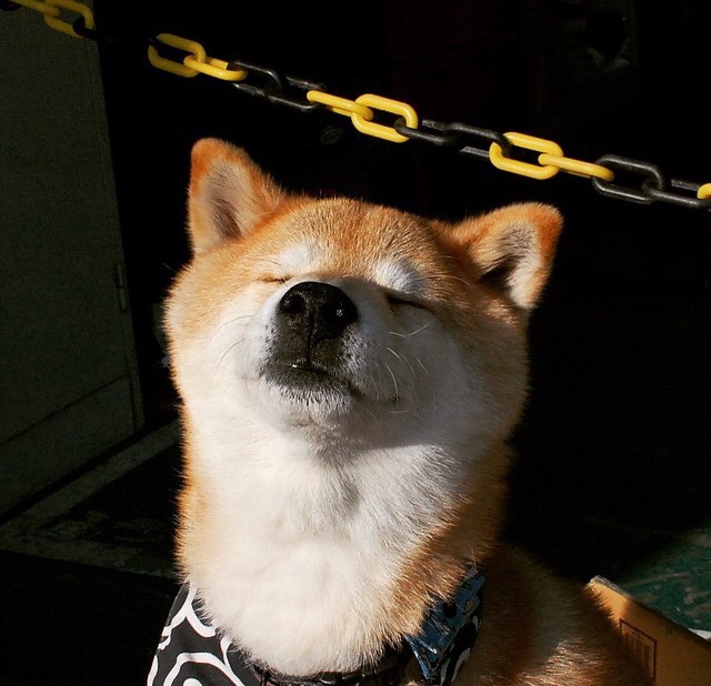 开云体育网址-以色列空袭首都,平民死伤惨重,以色列空袭难民营