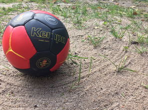 开云体育官网-向鹏澳门赛首轮出局，国乒男单阵容再遭打击，wtt澳门乒乓球男单